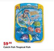 Catch Fish Tropical Fish