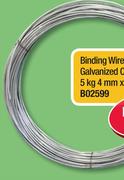 Binding Wire Galvanized L/G 3.15mm x80m/5Kg B00076