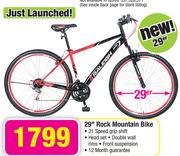 Raleigh 29" Rock Mountain Bike