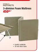 Natural Instincts 3-Division Foam Mattress