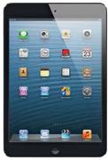 Apple iPad WiFi 16GB