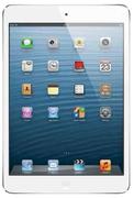 Apple iPad WiFi And 3G 16GB