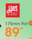 Hart 175mm Pot