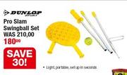 Dunlop Pro Slam Swingball Set