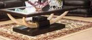 Evongo Coffee Table 
