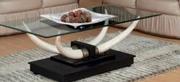 Evongo Coffee Table 