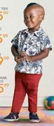 Printed Shirts