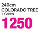 Colorado Tree-240cm Each