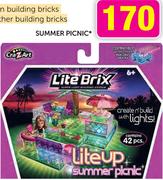 Summer Picnic