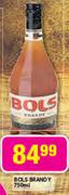 Bols Brandy-750ml