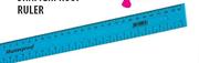 Shatterproof Rular-30cm-Each
