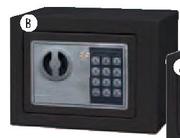 Standard Digital Safe