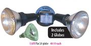 Security Light Par 38