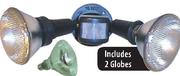 Security Light 150W Par 38 Globe