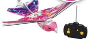 i-Play Amazon Parrot