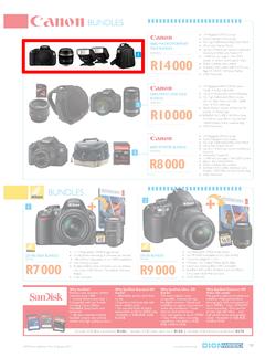 DionWired (18 Jan - 31 Jan), page 19
