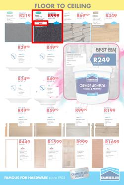 Chamberlains : Paint Festival (24 July - 10 August 2020), page 11