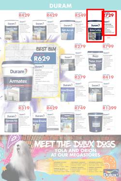 Chamberlains : Paint Festival (24 July - 10 August 2020), page 4