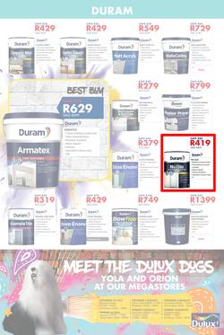 Chamberlains : Paint Festival (24 July - 10 August 2020), page 4