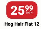 PNA Paint Brush Hog Hair Flat 12-Each