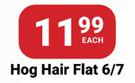 PNA Paint Brush Hog Hair Flat 6/7-Each