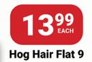 PNA Paint Brush Hog Hair Flat 9-Each