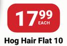 PNA Paint Brush Hog Hair Flat 10-Each