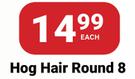 PNA Paint Brush Hog Hair Round 8-Each