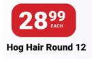 PNA Paint Brush Hog Hair Round 12-Each