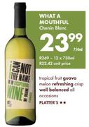 What A mouthful Chenin Blanc-12x750ml