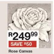 Rose Canvas