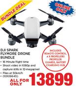 DJI Spark Flymore Drone Bundle