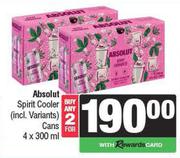 Absoult Spirit Cooler Cans-For 2 x 4 x 300ml