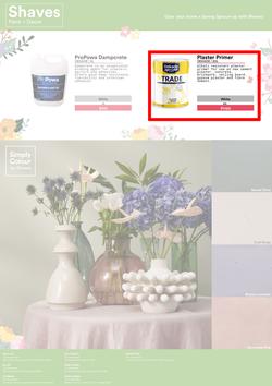 Shaves Paint & Decor : Spring Specials (22 September - 15 November 2023), page 6