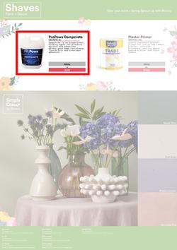 Shaves Paint & Decor : Spring Specials (22 September - 15 November 2023), page 6