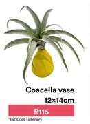 Coacella Vase 12 x 14cm