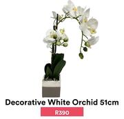 Decorative White Orchid 51cm