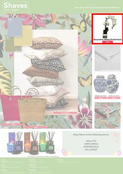 Shaves Paint & Decor : Spring Specials (22 September - 15 November 2023), page 8