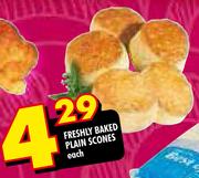 Freshly Baked Plain Scones-Each