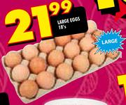 Large Eggs-18's