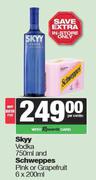 Skyy Vodka 750ml & Schweppes Pink Or Grapefruit 6 x 200ml-Both For