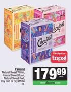 Carnival NL Sweet White,NL Sweet Rose,NL Sweet Red,Dry Red Or Dry White-5L Each