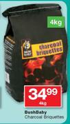 Bush Baby Charcoal Briquettes-4Kg
