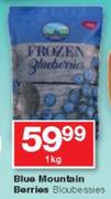 Blue Mountain Berries Blcubessies-1Kg