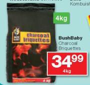BushBaby Charcoal Briquettes-4kg