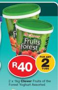 Clover Fruits Of The Forest Yoghurt Tub-2x1kg