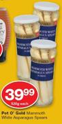 Pot O' Gold Mammoth White Asparagus Spears-530g Each