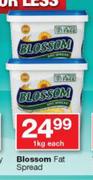 Blossom Fat Spread-1Kg Each