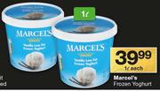 Marcel’s Frozen Yoghurt-1Ltr Each