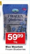 Blue Mountain Frozen Blueberries-1kg